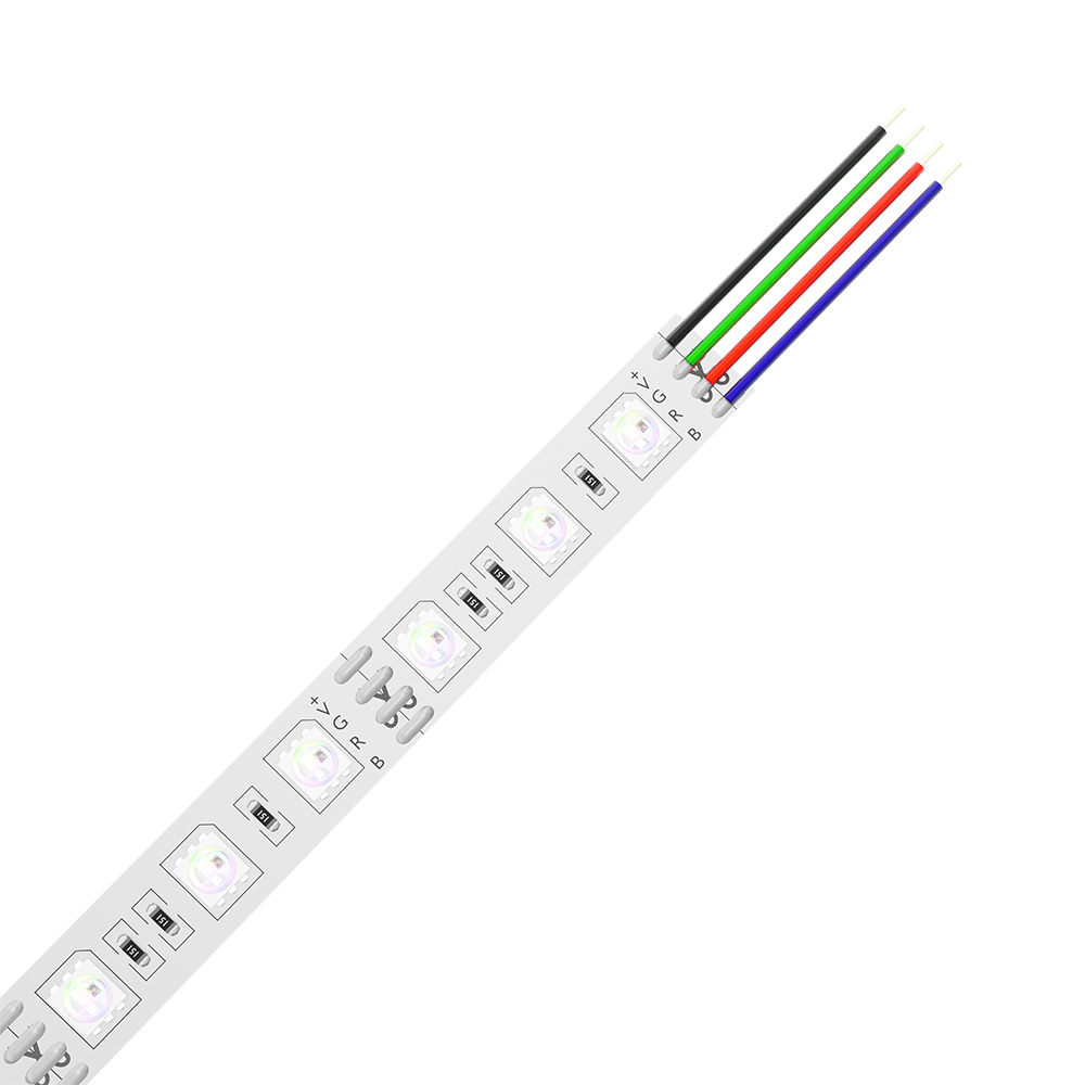 BS01-00319_4.jpg