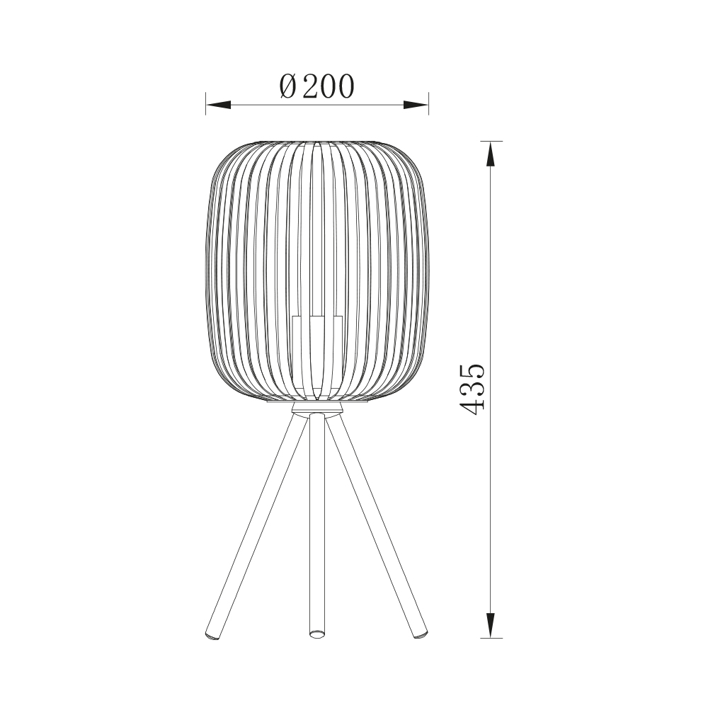 BV03-00072_4.jpg