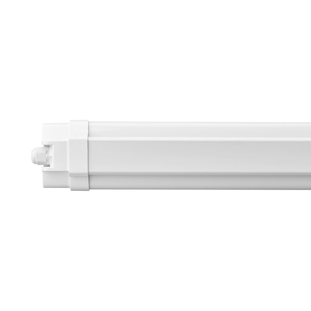 BT02-01200_4.jpg
