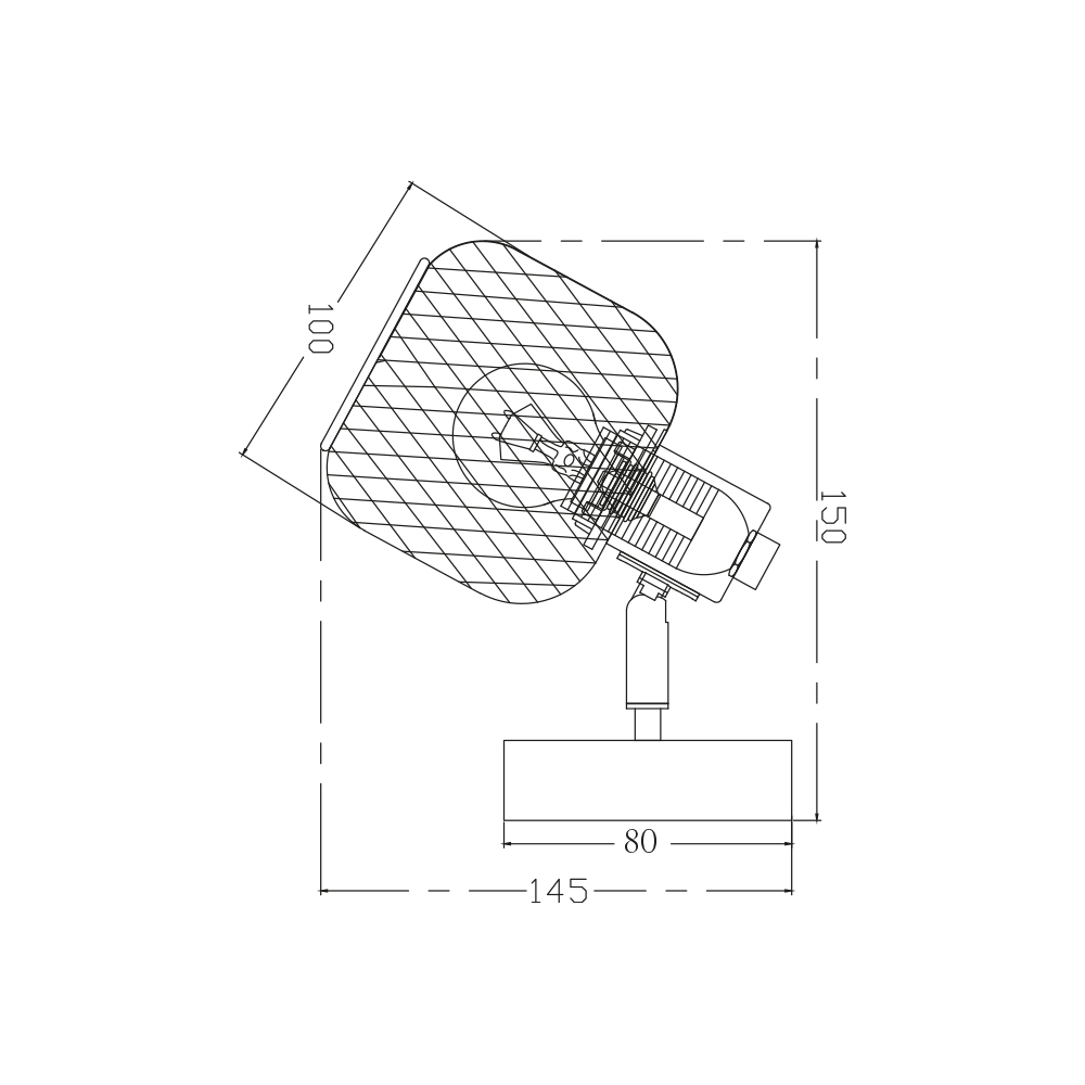 BV03-00010_4.jpg