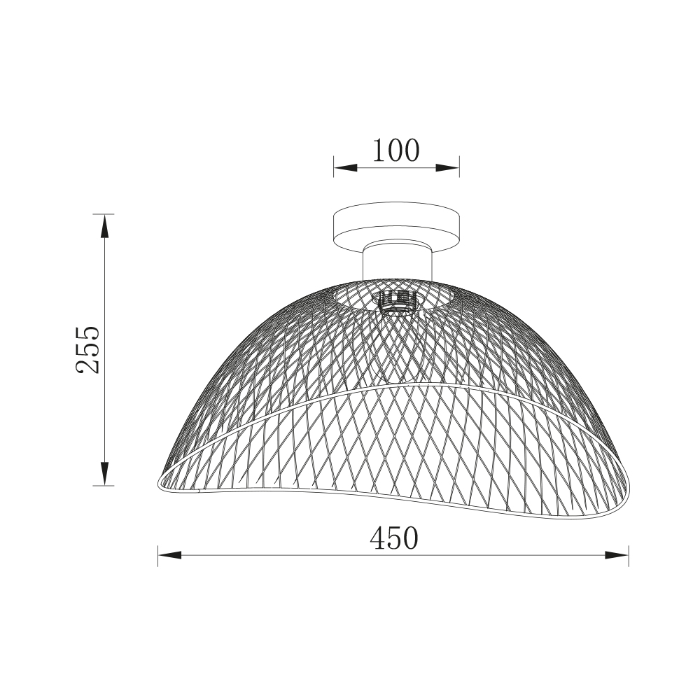 BV03-00062_4.jpg