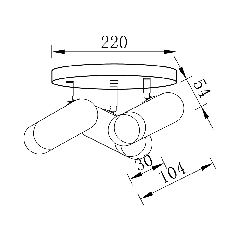 BV04-00021_4.jpg