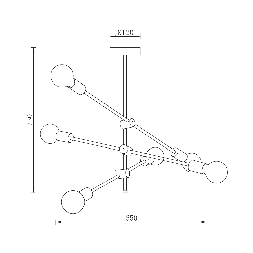 BV04-00043_4.jpg